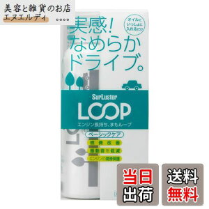 SurLuster(VAX^[) [v x[VbNPA ʎ GWICY RP Uጸ GWጸ V oN IC  RP LP-48