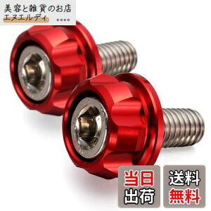 fCgi(Daytona) PREMIUM ZONE(v~A][) oCNp io[v[g {g M6×15mm z_[Zbg 2 bh 91945