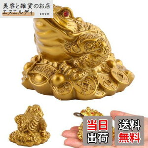 Kingsie Or^ O{r̊^ K^  Or JG   J^ ^ ^ ɐ ObY CeA 蕨