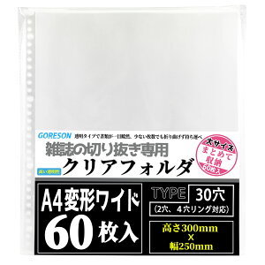 Goreson A4Ch tB A4ό`Ch G؂蔲y60zx e ݂Ǝ ւ Nt@C tB [ a4Ch 30 2 4