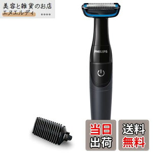 �t�B���b�v�X �{�f�B �g���}�[ 1000�V���[�Y �{�f�B�[�V�F�[�o�[ �O���[�}�[ (�����C�g�p��(�J���_�p)���d�r��) BG1024/17 �u���b�N/�u���[