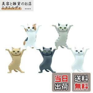 MRZJ JKRLyz_[lR̃y S5Zbggyz_[ (5PCS)