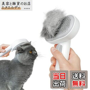 AEJ (Aumuca) ybgpuVuvbVvLuV puV L  ю uV }bT[W XbJ[uV ubVOuV ыʎuV Lʗp Z  