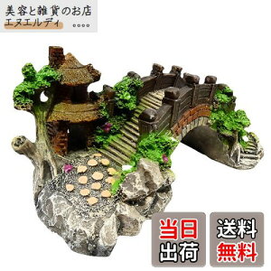 Charmoon ANAE  IuWF  A[` B VF^[ A a {뉀 (MTCY)