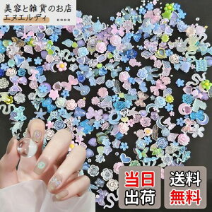 lCp[c 300 3D   n[g  { lCp[c Xg[  傫 VF ւ lCA[g fRp[c ~p[ WG[p[c _` (}`J[ A)