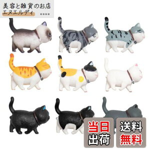 KALOLINNA tBMA L qLߋZbg 9Zbg LObY ~jgC  킢 K[fI[ig ԓ CeA  G LL ap[eB[ObY 