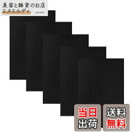 【送料無料】KALOLINNA レザー 補修 貼るレザー 5枚セット 合皮補修シート シールタイプ 貼るレザー ソフ…