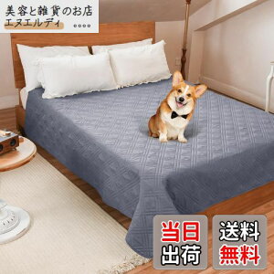 LOOBANI hJo[ xbh hV[c VO _u xbh  Lp xbhJo[ h \t@[ hV[c Rh~ ~ ƋveN^[ ۂƐ􂦂 ݑϐ  L h_j 