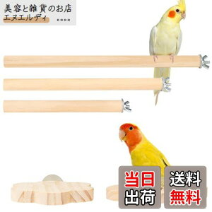 IRRVIN 5Zbg p~܂ CR Ƃ܂ X^h CR  p[` CR܂𖁂 ނ xݏꏊ XgX Vѓ P[WX^h tȒP