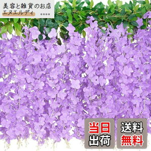 Lakymisy ̉ 2{  K[h  ӂ̂͂ 10}/{  VN t̏ 뉀 ԗ ̓ ʐ^Be Ǌ| ԏ Xܑp  p[eB[