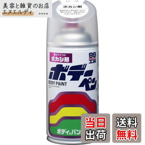 \tg99(SOFT99) 99H[ CyCg {f[y {JV 300ml ԃ{fBAop[AA؍ 08004