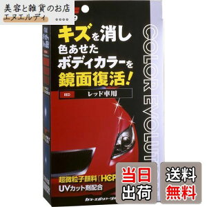 \tg99(SOFT99) bNX WAX J[G{[V bh ԓhʂ̃LYAیyщop ی܁Ap@NX2ApX|W 00505