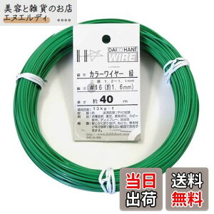 _Ch[ng (DAIDOHANT) j [rj[핢] J[C[ O[ (  ) [] #16 (1.6 mm x [] 40m 10155312