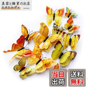 ULIN  3D  EH[XebJ[ ǎV[  ʃe[v V[ rO ① CeA ǃV[  킢 EH[y[p[ |X^[ CG[