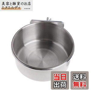 Kingsie ybg{E IE{[ XeX CR  o[h H  a t[h{E Q[WANZT[ (M)