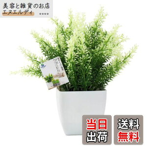 TOSSOW lHϗtA  tFCNO[ tFCNϗtA l CeA v[g Ηt