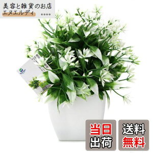 TOSSOW lHϗtA  tFCNO[ tFCNϗtA l CeA v[g ΂Ɣt