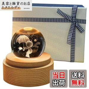 TENGEE av[g  lC IS[  CeAG u Cg USB[d e  ObY LO juervKi (̉q(o)-Ɋ肢