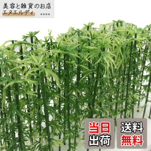 mDauStagen   | V̖   X ͌^ NQ[W WI} S z p  ~j`A 14.| 12cm 20{