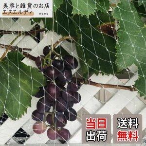 悯lbg x_ hlbg FŎEՂȂ ^Ȓ̐Nh~ JX  Q΍ h u[x[؍͔|ʎȂǂ̎蔵lbgL悯 N