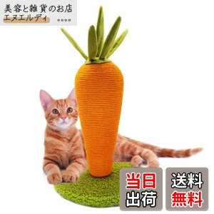 LIFLIX ɂ񂶂 L ܌ L ߂Ƃ |[ VRTCU CeA   gݗĊȒP