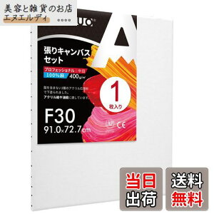 AUREUO LoX Zbg F30 (91cmX72.7cm)  S 1 l ̊Gp |pGn G p ʉEGEANpc