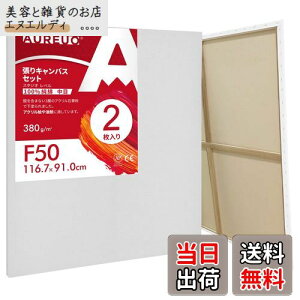 AUREUO LoX Zbg F50 (116.7cmX91cm)  100Rbg 2 S Gp |pGn G p ʉEGEANp