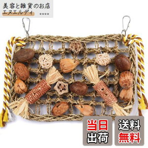 Kito Lee o[hgC CR  ObY ̗Vя ݉^Cvߋ ZLZCCR IE ނ ފߋ VRS