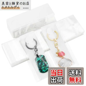 PH PandaHall 䎆 uXbg L[z_[p 100 OPPܕt L[O Wp  WJ[h n ANZT[p[c ̔p WG[p nhCh ifBXv[ Nt