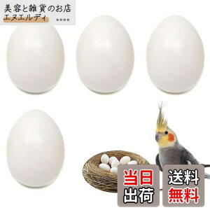 PAVIKE U  4Zbg CR tFCN`LGbO bgngɐBpi lHlXg HiTv tFCN_~[GbO IJCR ERCR RUNCR {^C