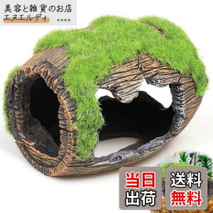 PAVIKE  B E[p[[p[ _J  GrB ۂނCM  CAEg ANAE  IuWF  I[ig   ^ u  ߋ  IuWF