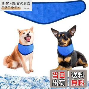 pN[o_i N[lbN p⊴O ybgpp pN[XJ[t p^I ybgp⊴ pXJ[t {[_[ ΍ObY ₷ y ߉\ 