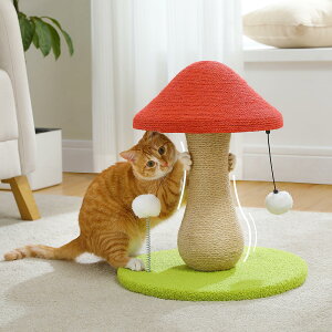 PAWZ Road Lbg^[ ~j Ki L ܌ LmR c^ u SʖR ܌|[ ^}S^P ߂ ȃXy[X RpNg VRTCU  KK  gȒP 