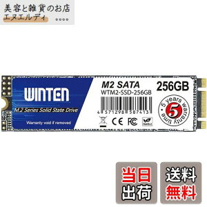 WINTEN SSD M.2 SATA 256GB 2280 3D NAND SATA3 6Gb/siőǎ 500MB/s ő发 500MB/sjG[@\ ȓd Ռɋ ^yzWTM2-SSD-256GB 6083