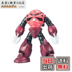 BANDAI SPIRITS(o_C Xsbc) MG @mK_ MSM-07S VApYSbN 1/100XP[ Fς݃vf