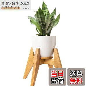 t[X^h Yangbaga X^h | Ƒ O  K[fjO ߉\ ő׏d30KG