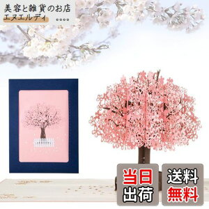 Kesote bZ[WJ[h  ̃J[h |bvAbvJ[h o^C    t