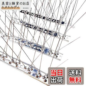 ONESORA  悯 100%XeX o[hs ϋv y 3mz 悯 XpCN 悯 R LhS JX悯 ̃tQ΍  x_ J[|[g  Ԍ Aei㕔 