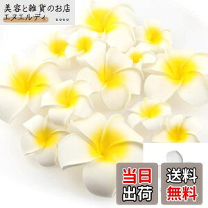 Yesallwas wA Nbv s vA  7cm 20Zbg Ԃ̂  wA Nbv s vA   DIY  p[eB[p t ʐ^Be