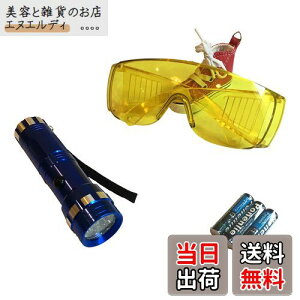 〈HOTEISON〉カーエアコン エアコン ガス漏れ 検知 セット UVライト ゴーグル 単4電池付き