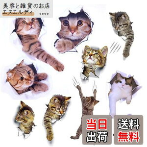 Pazi EH[XebJ[ L   XebJ[ ˂ V[ 킢 3D ȒP DIY  \Ă͂  ǎ gC  Lb` CeA