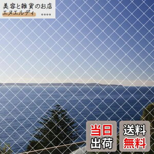 hlbg x_悯lbg 4m×10m JX ΍h ʎ؍͔|hblbg LNEh~ F ioh 15{tjLimthe