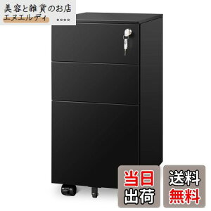 DEVAISE XS fXNS TChS ItBXS Lrlbg 300*s435*600mm X^ RpNgTCY LX^[t t 3iI[bN A4Ή vȃX`[