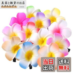 Frcolor  wAs wANbv  vA wAANZT[ wANbv nC  wbhhX 6cm 12F 24Zbg