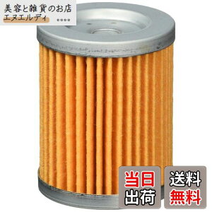 �L�^�R (KITACO) �I�C���t�B���^�[�G�������g K-PIT S-05 �X�J�C�E�F�C�u250 �o���o��200 �}�O�U�� �O�����h�}�W�F�X�e�B �� 70-390-12050