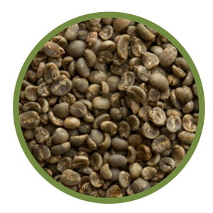 yzR[q[ }f G-1 iGRATEFULCOFFEEj