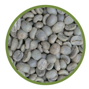 yzR[q[ O@e} SHB T^bT S17 QO[h iGRATEFULCOFFEEj