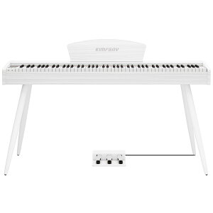 yzKIMFBAY dqsAm 88 n}[ANV ؐX^C dqsAm tXDREAM 3{y_ MIDI[qΉ S }X^[ Kp {