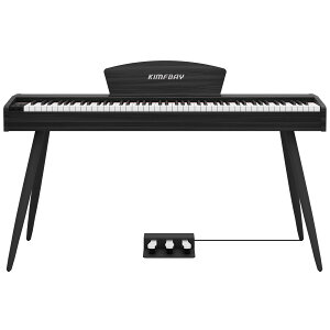 yzKIMFBAY dqsAm 88 n}[ANV ؐX^C dqsAm tXDREAM 3{y_ MIDI[qΉ S }X^[ Kp {