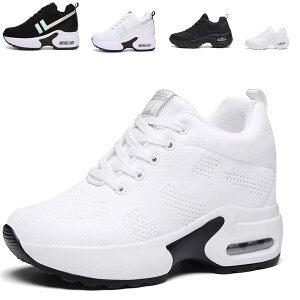 yz[ziitop] Xj[J[ fB[X Cq[Xj[J[ EH[LOV[Y r V[NbgV[Y y V[Y [XAbv 8cm q[Abv r ɂ 